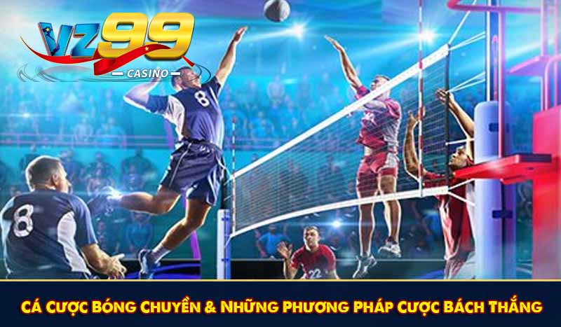 Cá Cược Bóng Chuyền & Những Phương Pháp Cược Bách Thắng 1 Cá Cược Bóng Chuyền & Những Phương Pháp Cược Bách Thắng
