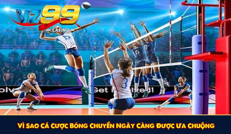 Cá Cược Bóng Chuyền & Những Phương Pháp Cược Bách Thắng 7 Vì Sao Cá Cược Bóng Chuyền Ngày Càng Được Ưa Chuộng